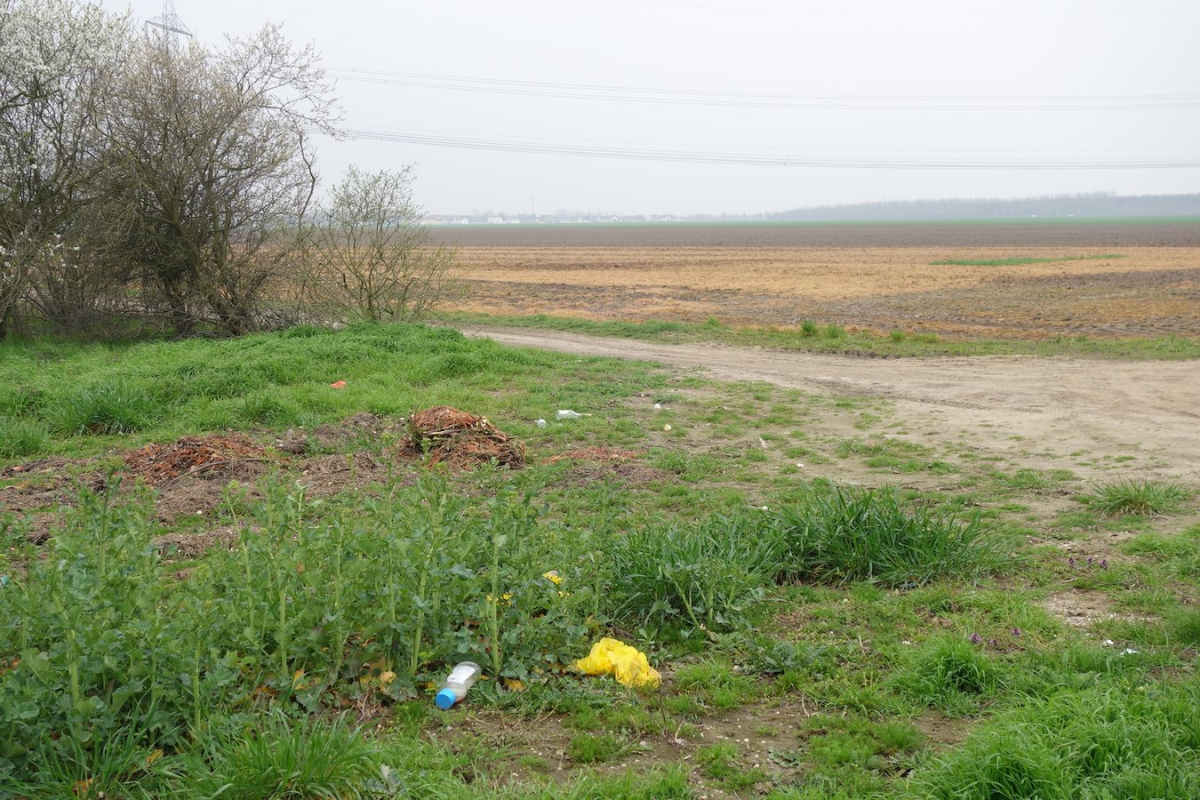 Müll mit totgespritztem Feld im Hintergrund vor Delitzsch